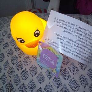 Glow in the dark duck for sale $15 for each